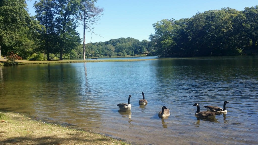 Meshanticut Park Trail