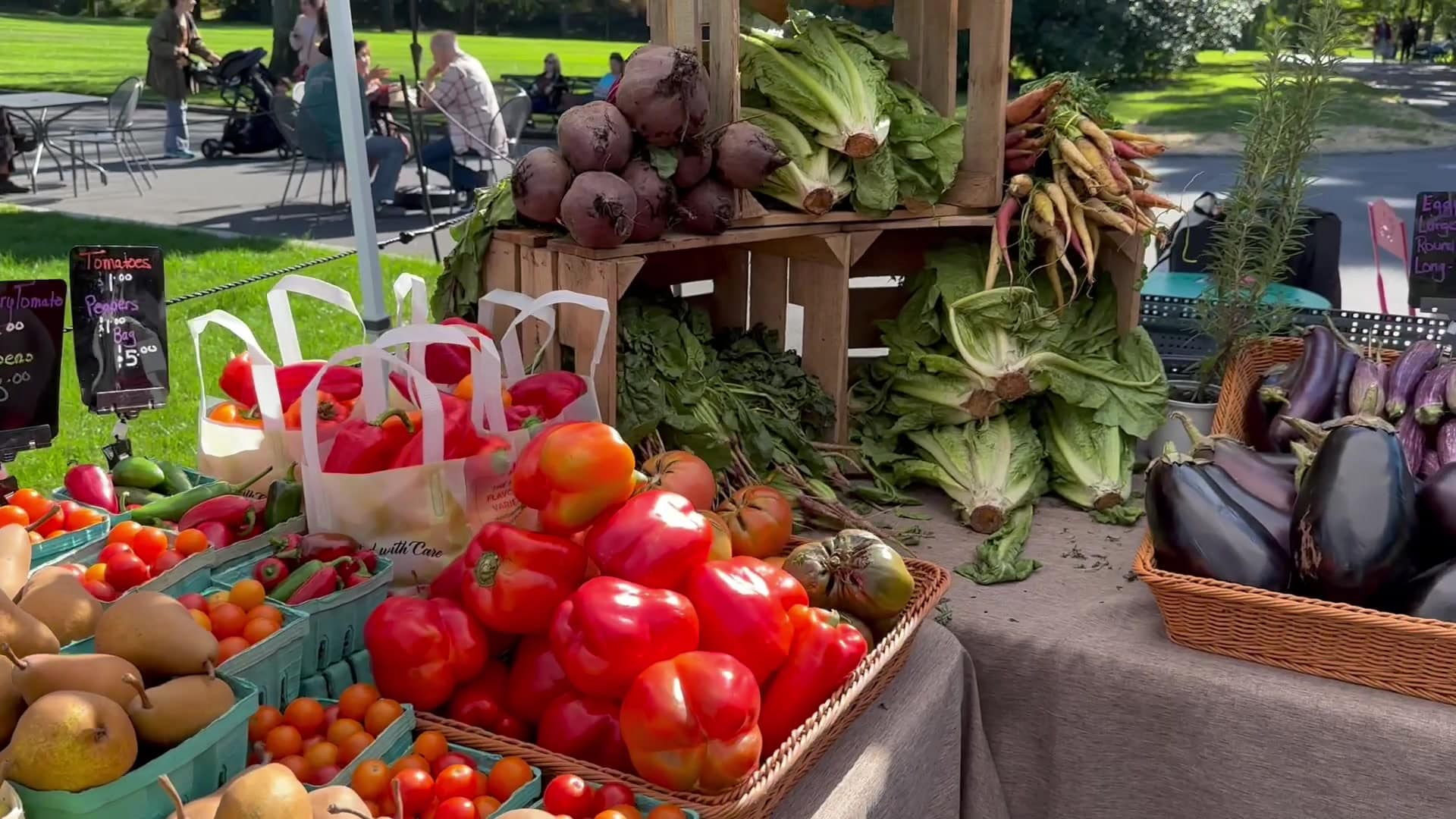 New Rochelle Farmer's Market