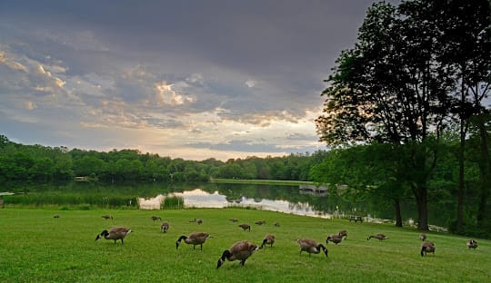 Fort Harrison State Park 