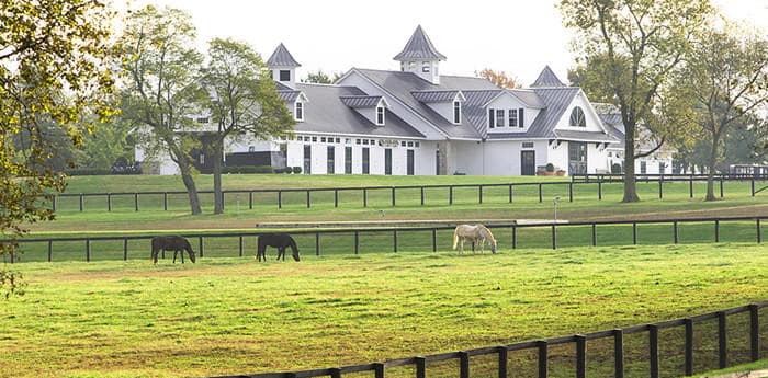 Lexington Horse Farm