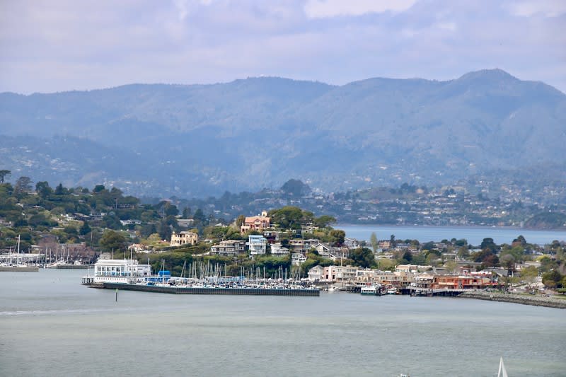 View of Tiburon