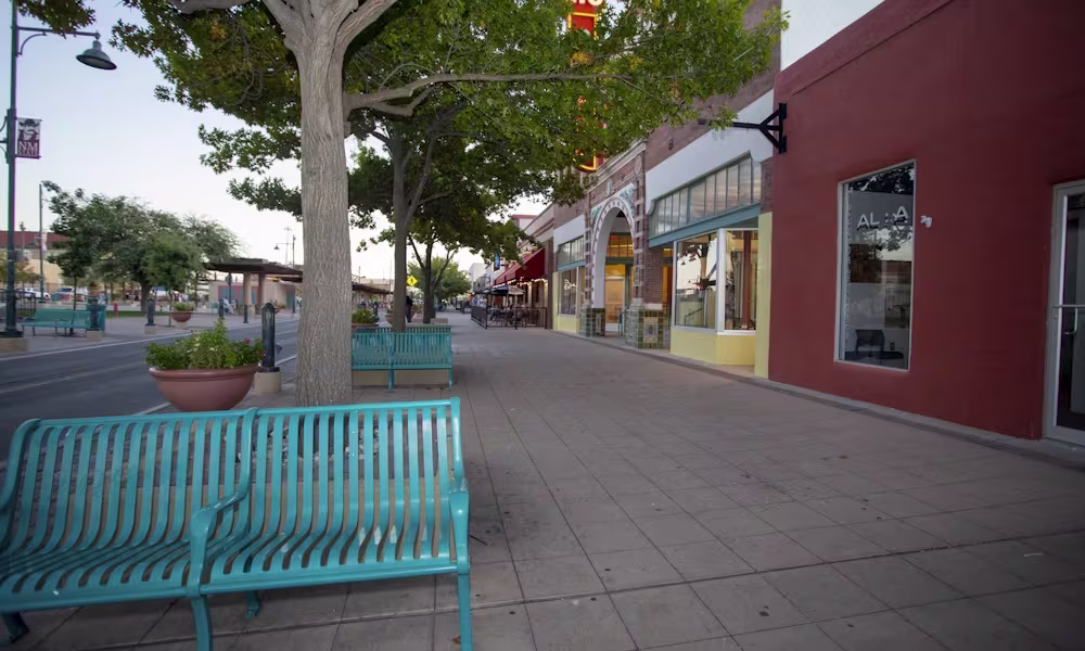 Parkhill Estates Neighborhood