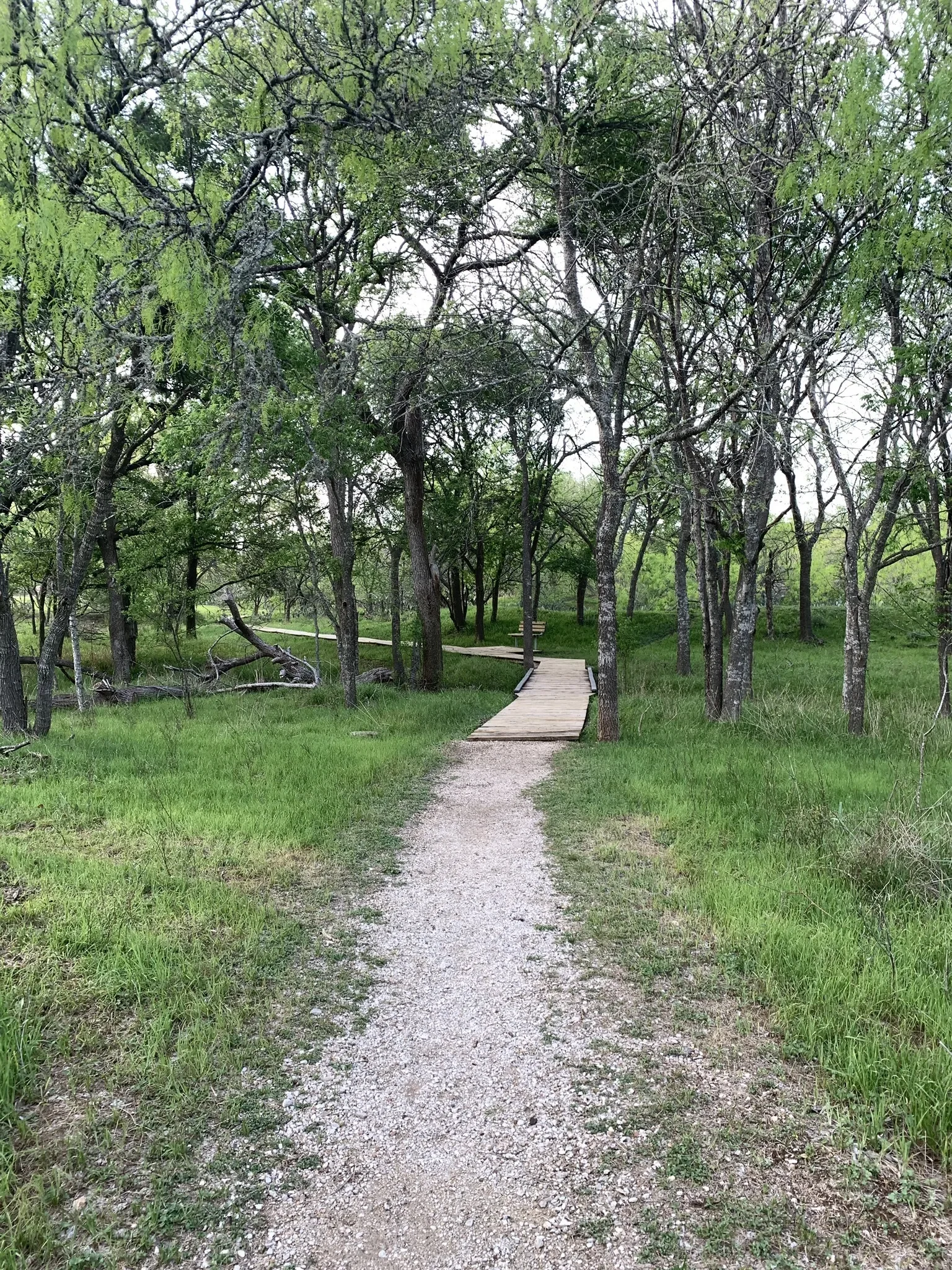 Ringtail Ridge Natural Area
