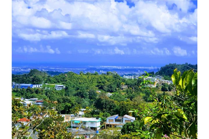 Barrio Nuevo, Venta Bienes Raices 