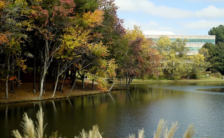 Cauley Creek, Johns Creek