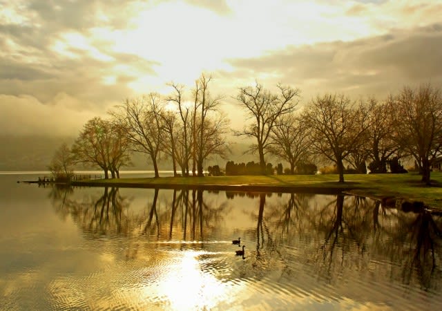 Bloedel Donovan Park 