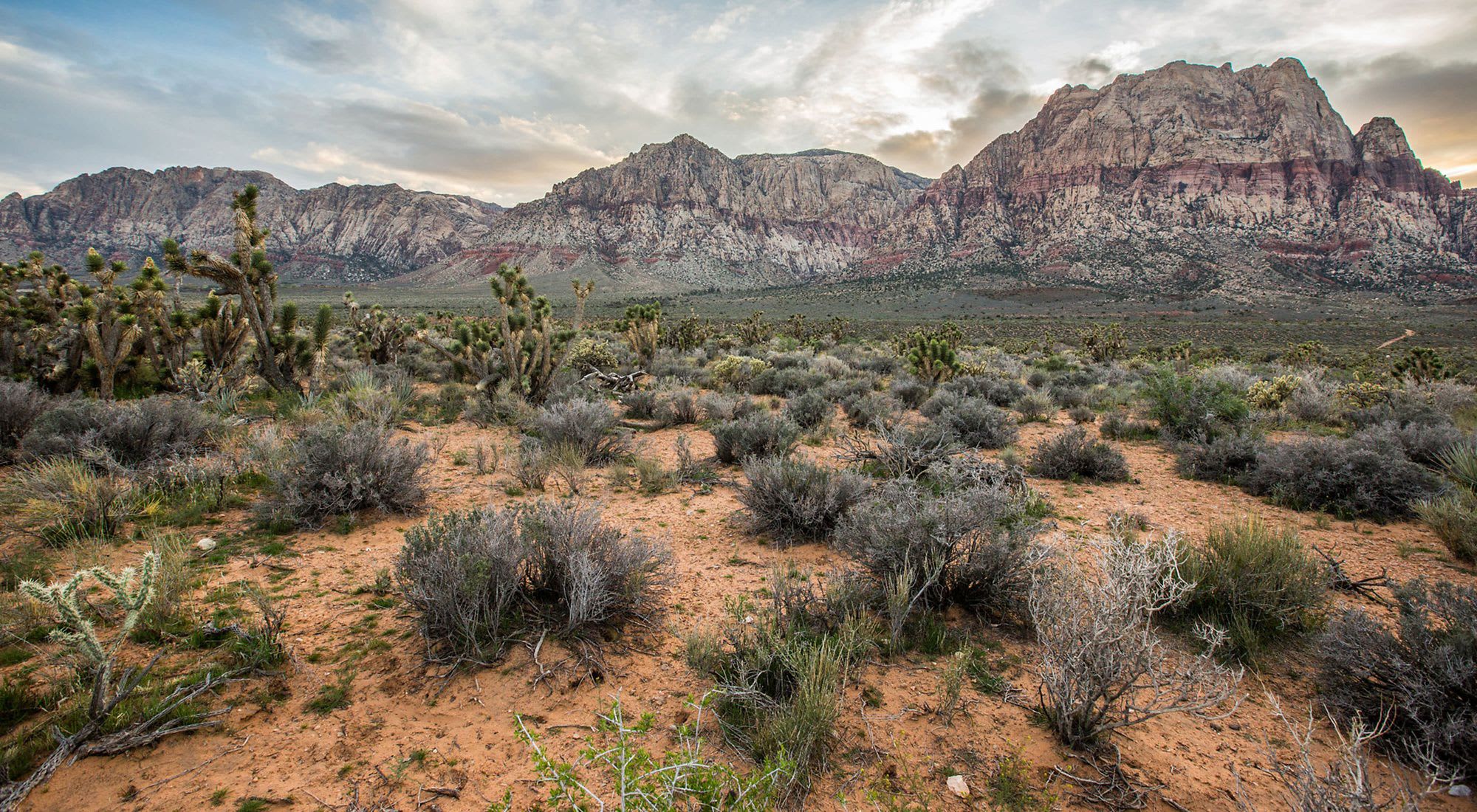Red Rock Canyon National Conservation Area
