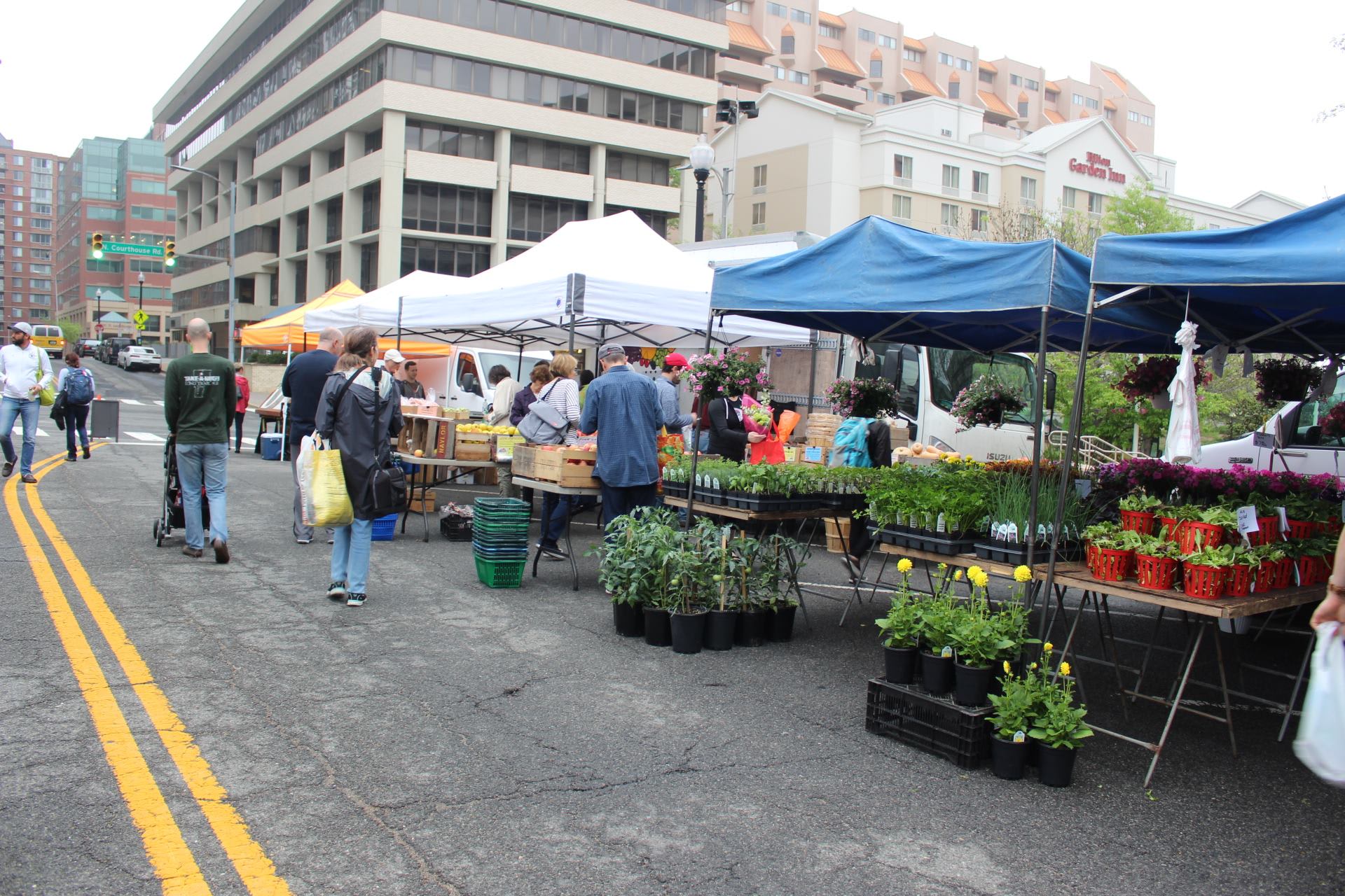 Arlington Farmer's Market