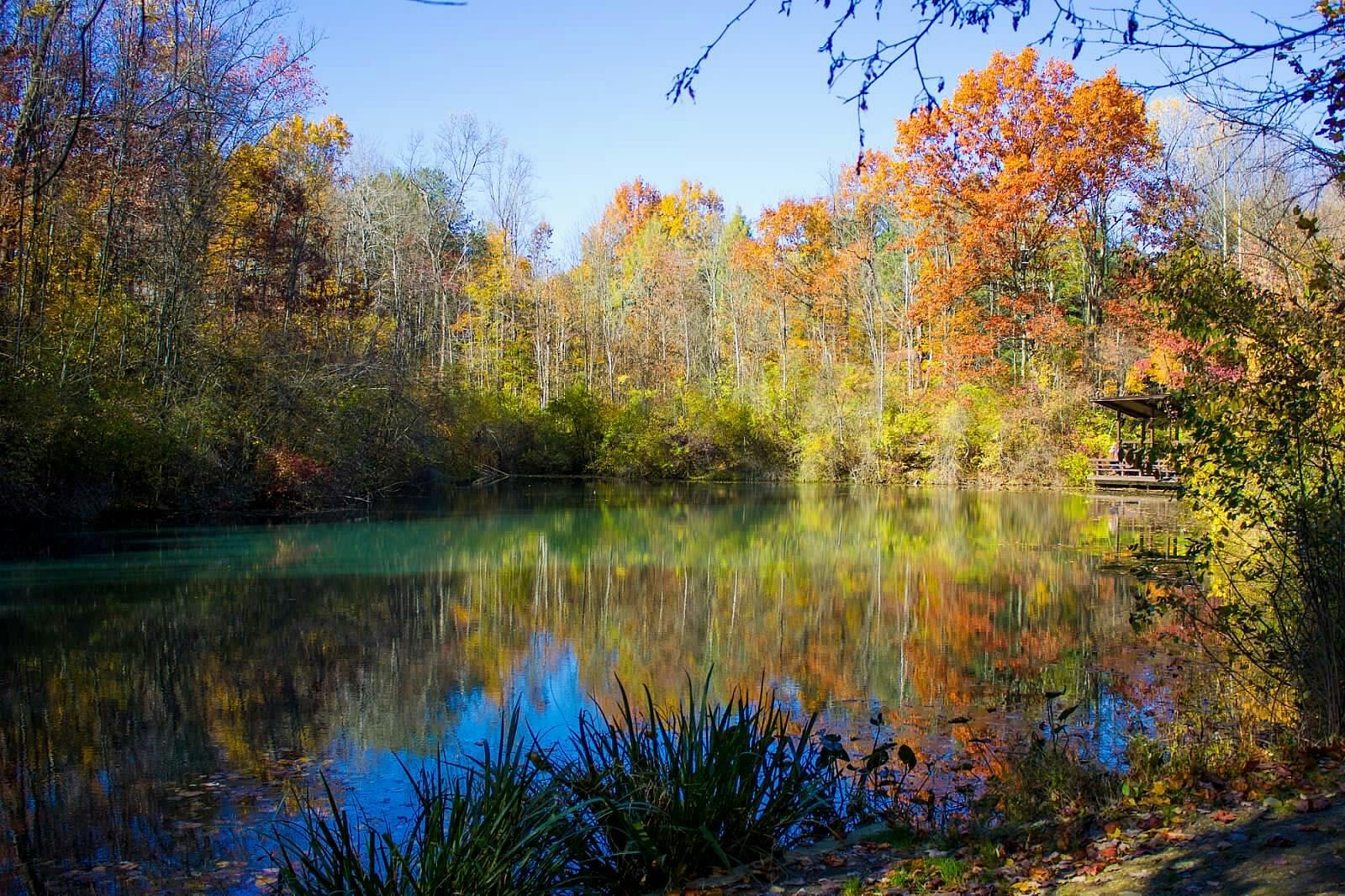 F.A. Seiberling Nature Realm