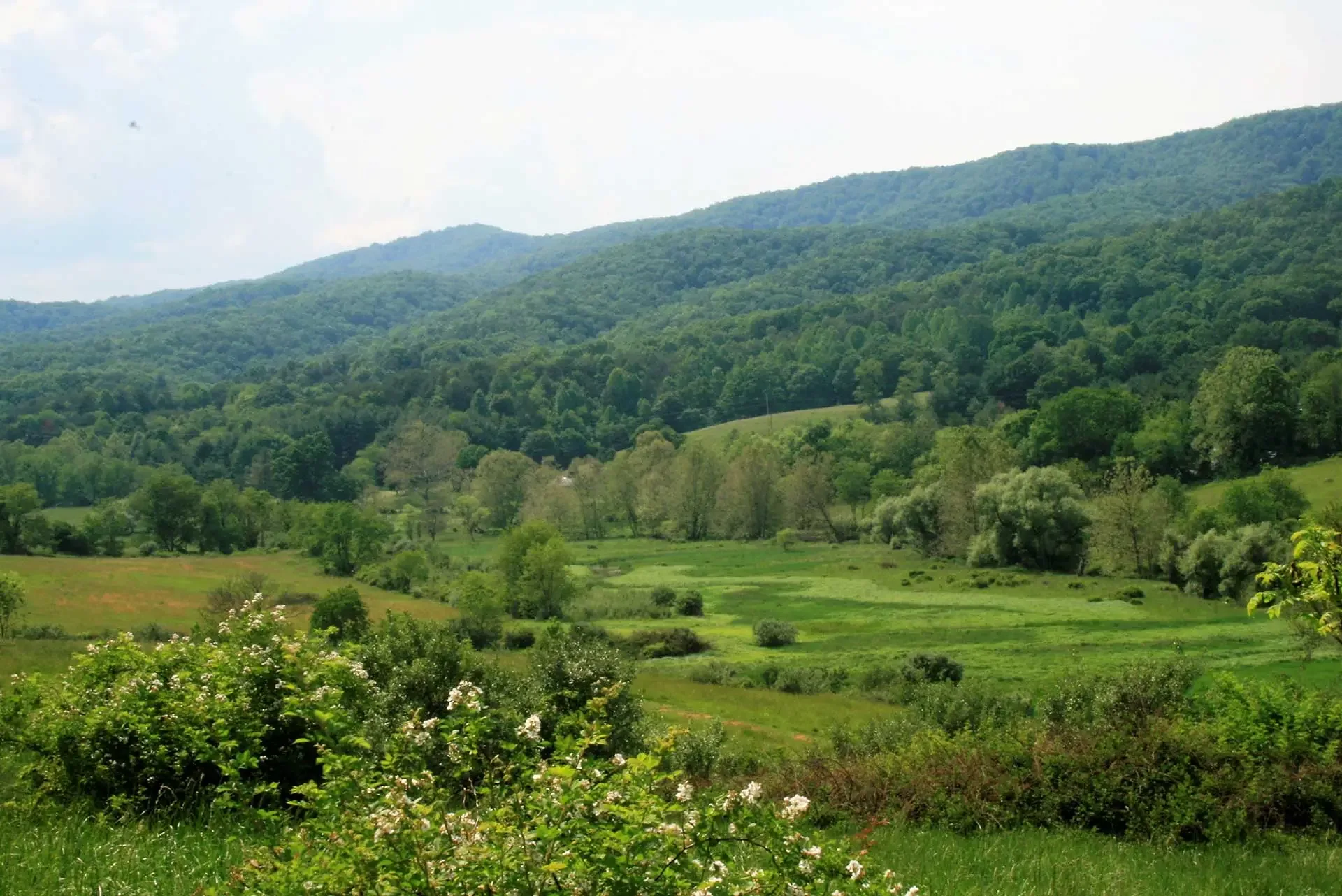 Heritage Community Park and Natural Area