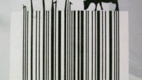 Top 5 Stylish Product Barcode Designs