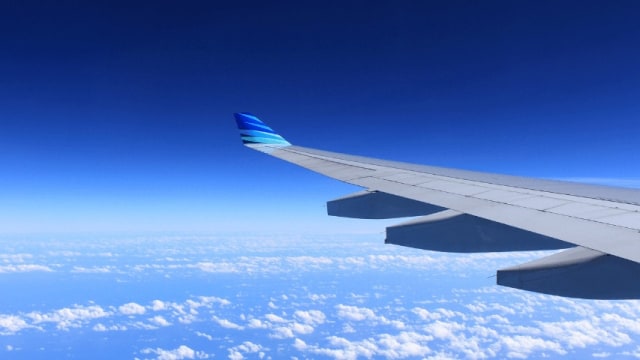 fly high