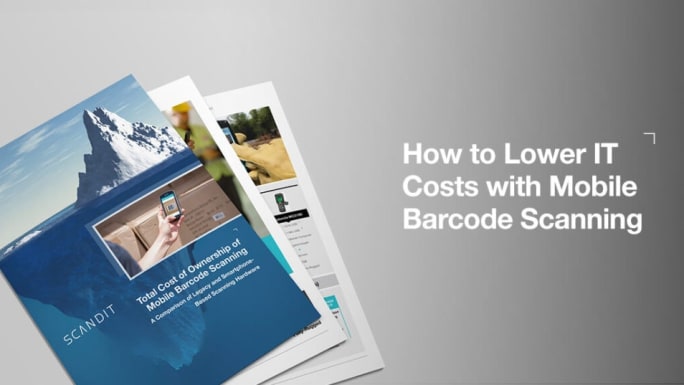 how to lower IT costs with mobile barcode scanning