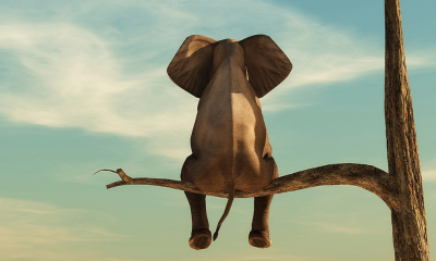 The (Current?) Branch of Teresias