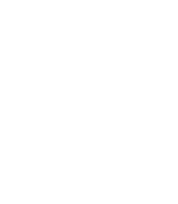 Scout Manziana 1