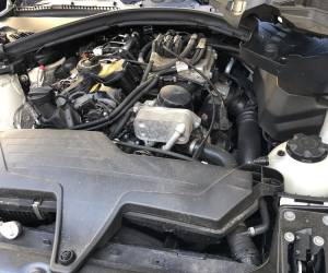 Everything Auto NY