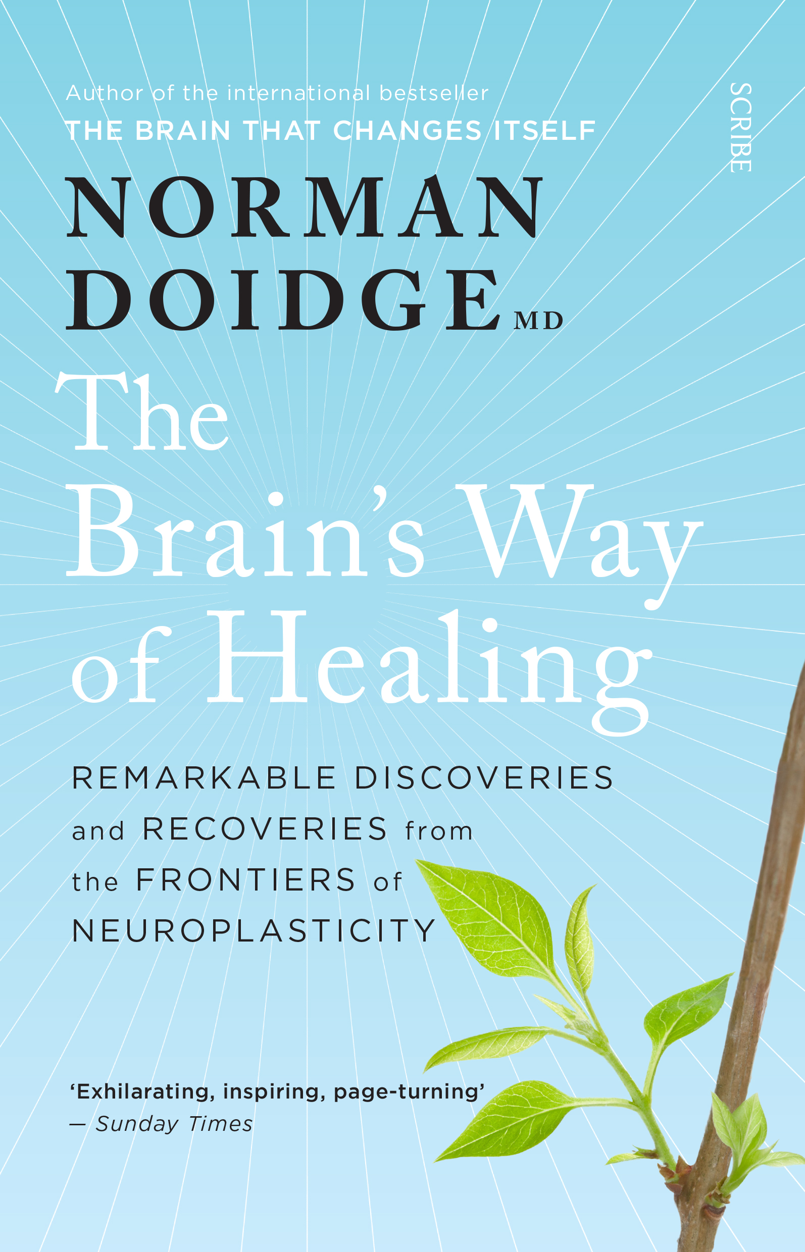 the brain that changes itself by norman doidge md