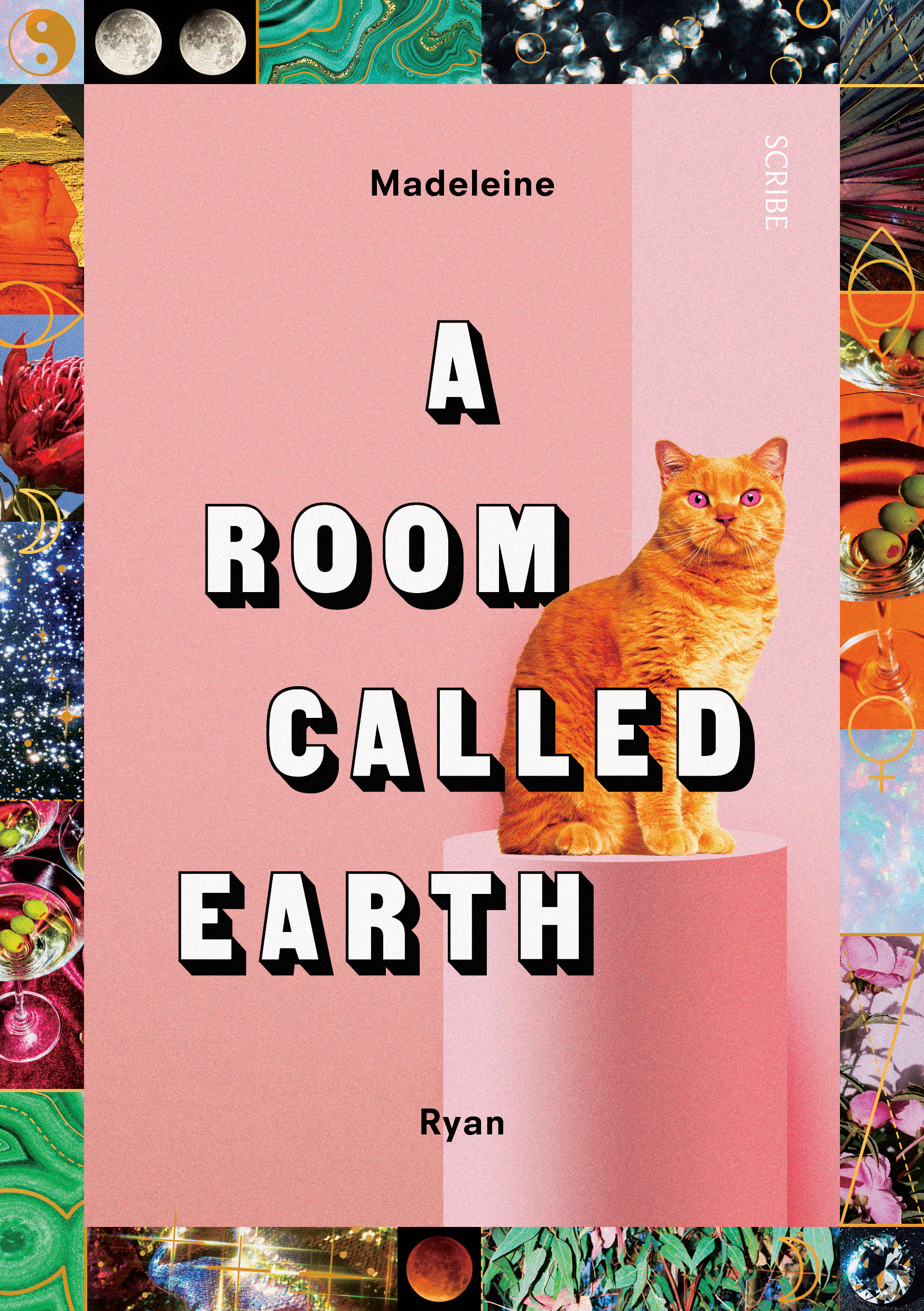 A Room Called Earth Book Scribe Uk
