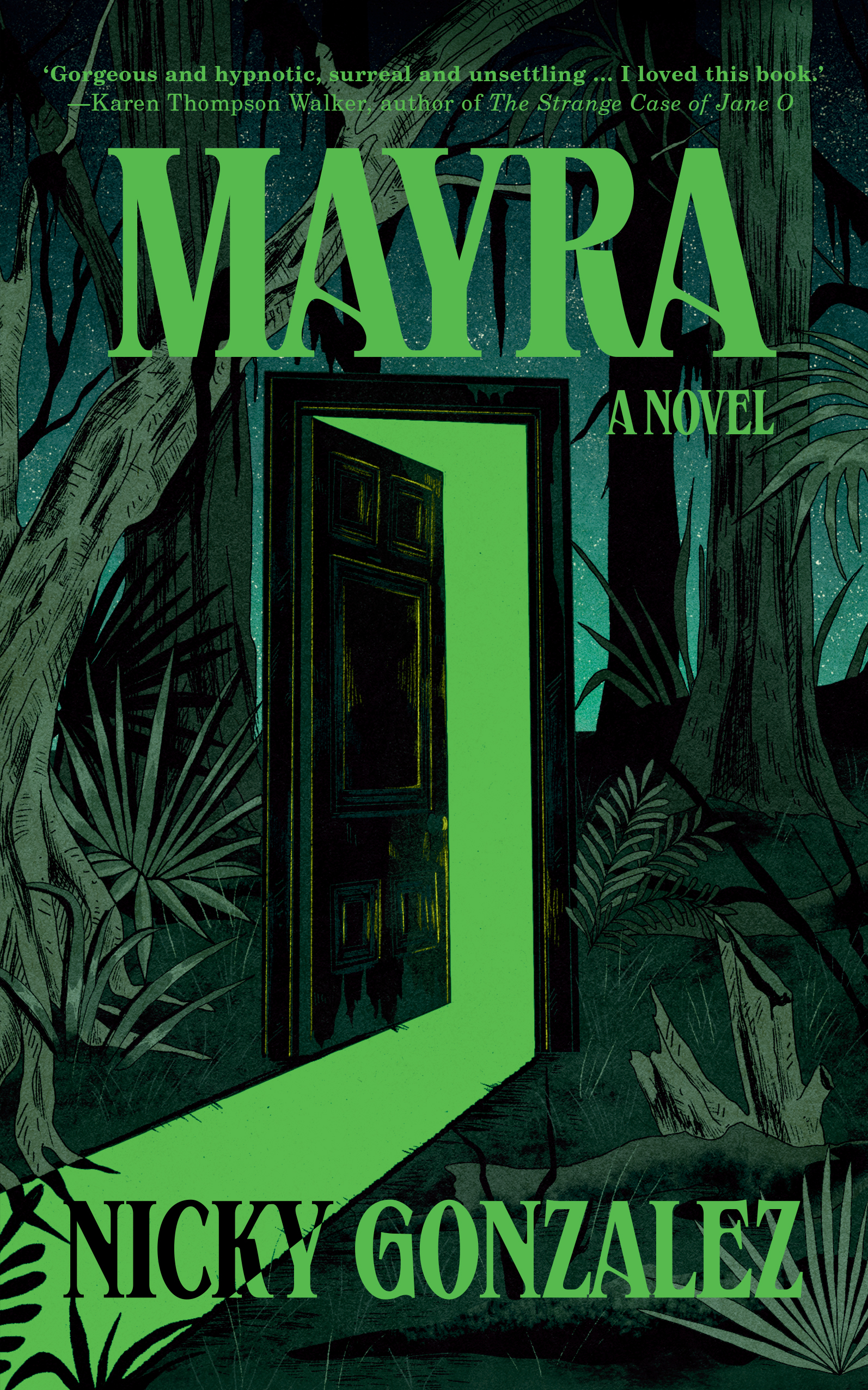 Image for Mayra : A Novel
