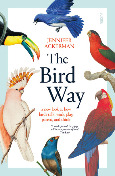 The Bird Way by Jennifer Ackerman The Bird Way by Jennifer Ackerman
