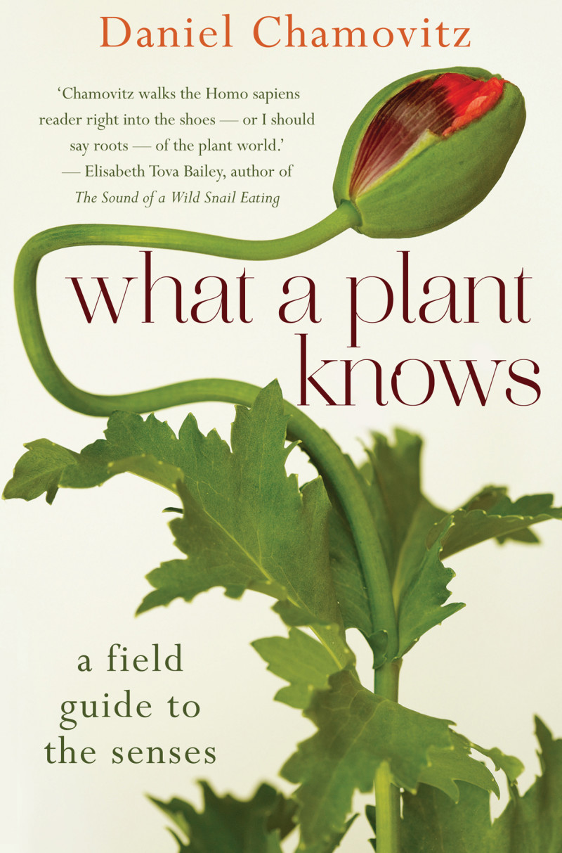 What a Plant Knows Book Scribe Publications