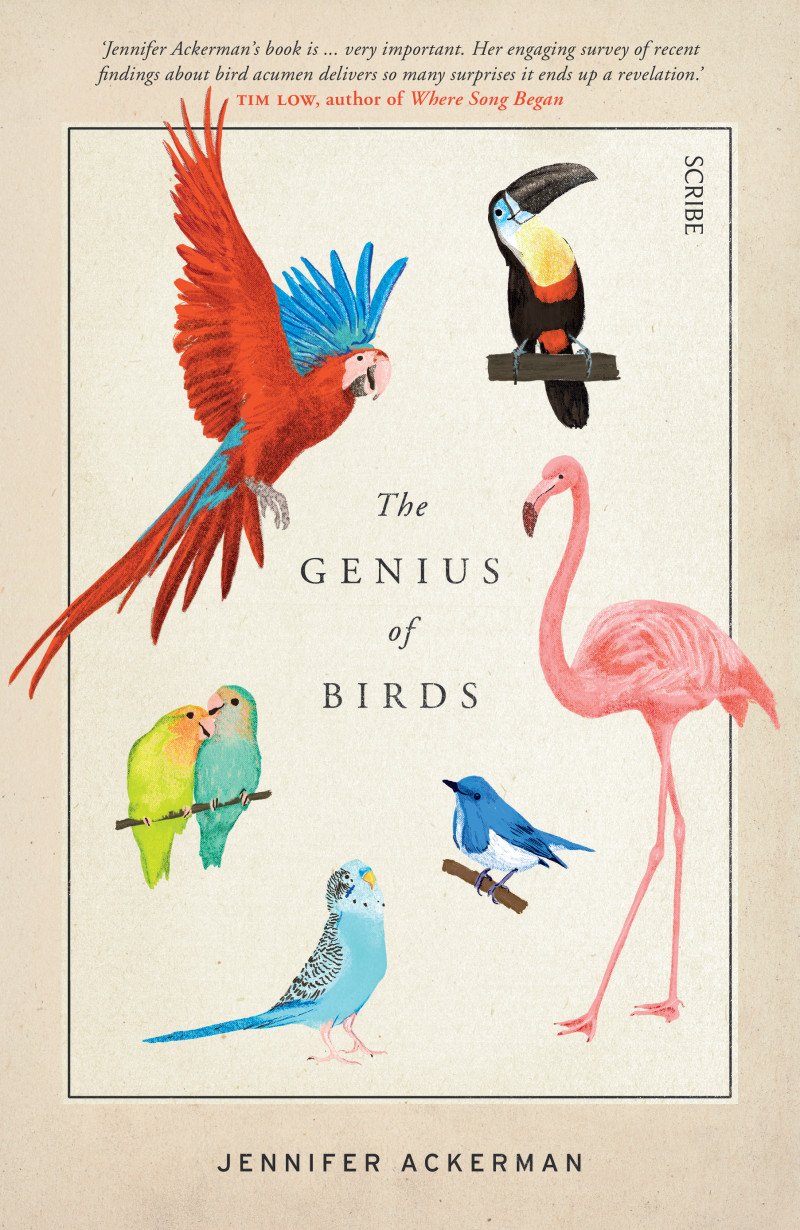 the genius of birds ackerman