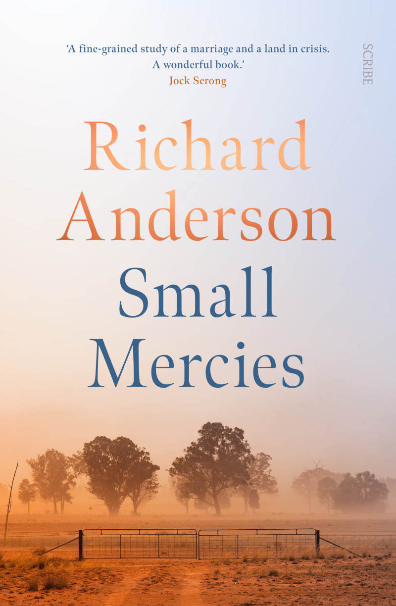 Small Mercies Book Scribe US