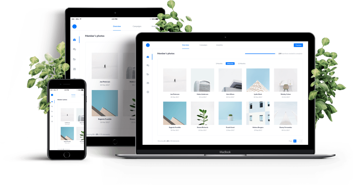 website-design-developers