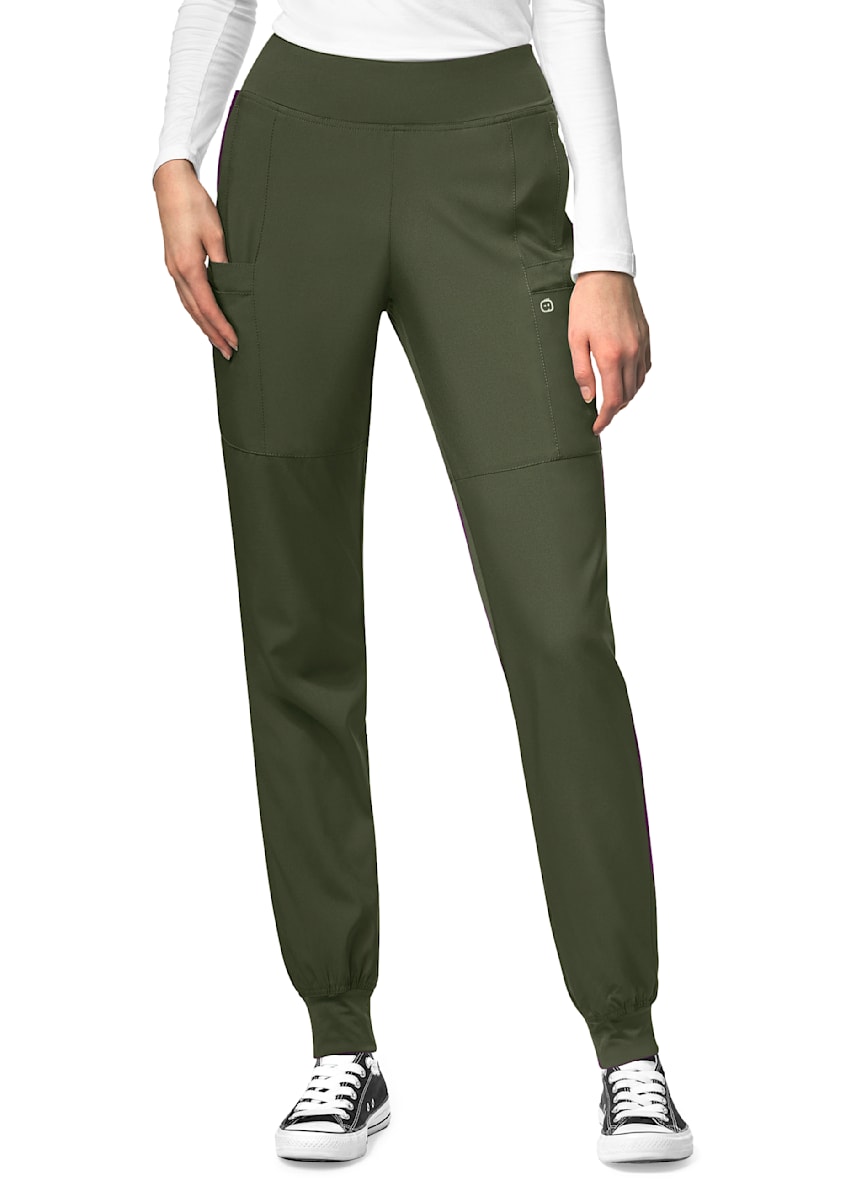 The Ultimate Suit Pintuck Pant  Stretch work pants, Work pants, Plus size  work