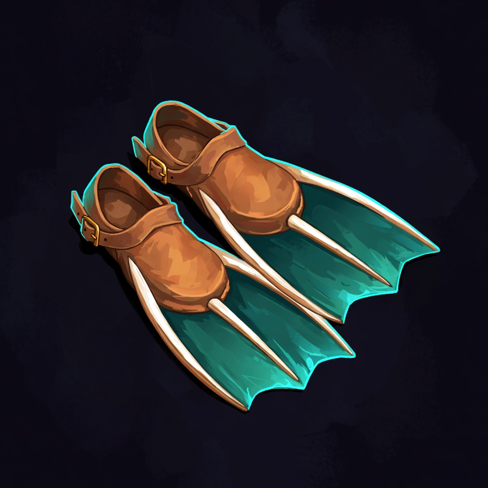Swim Fins