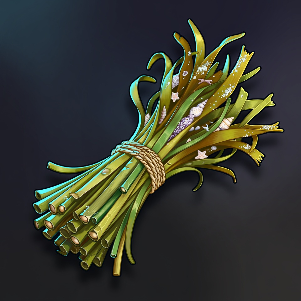 Seagrass Bundle