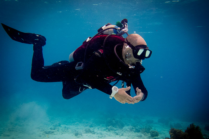 Escuela de Buceo Scuba Dive Argentina Cursos de buceo 2023