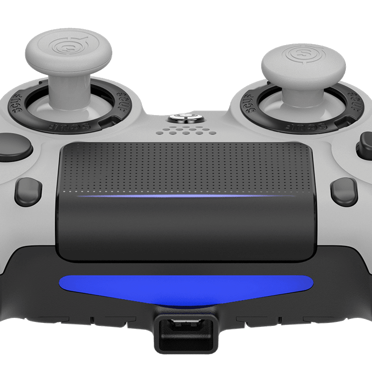 INTERCHANGEABLE THUMBSTICKS
