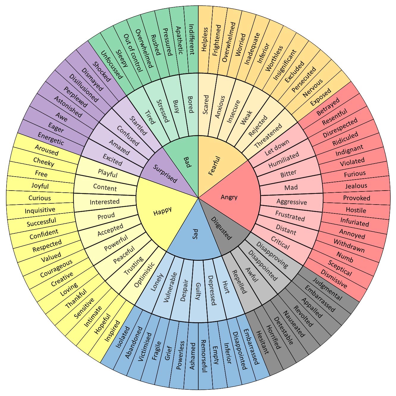 the feel wheel