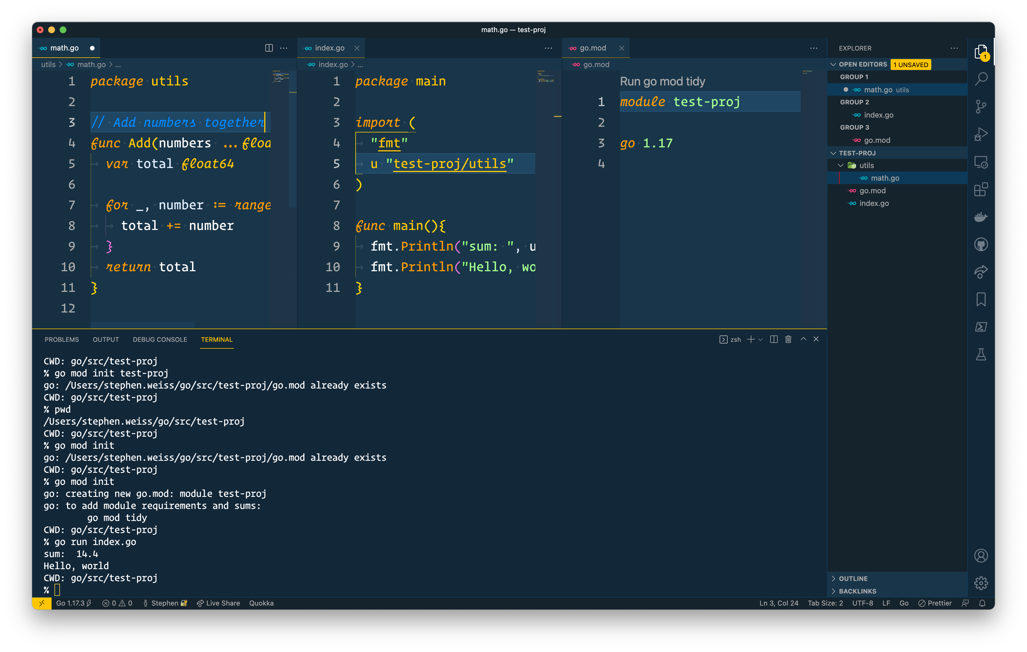 Go Module Basics code comments 
