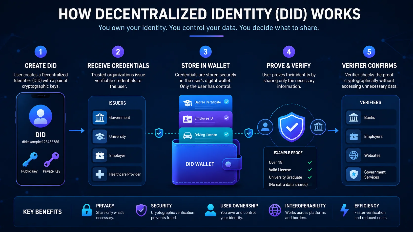 decentralized identity did infographic 1
