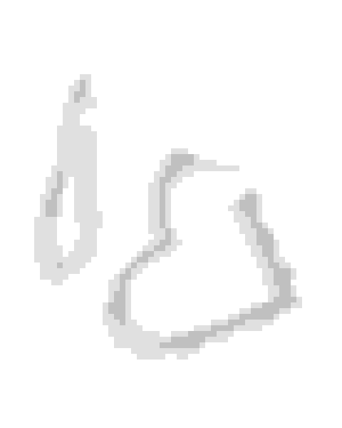 Sophee Heart Hoop Earring 