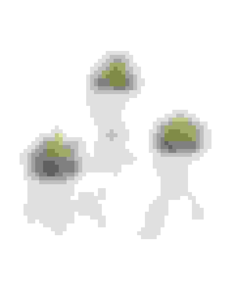 v2-prize-artificial-succulents-plants-decor-white Main Image