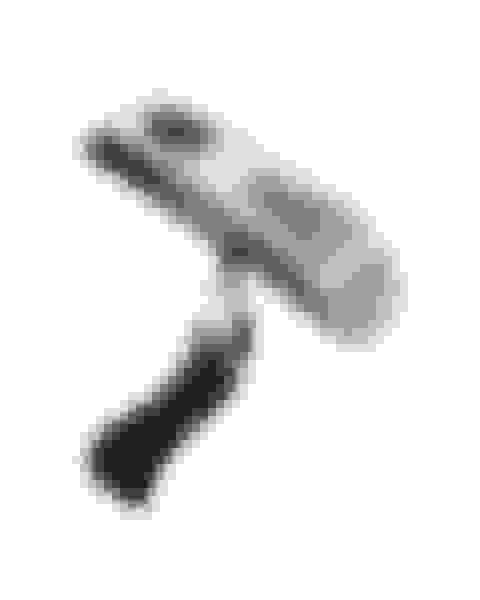 v2-prize-digital-hanging-bag-scale Main Image