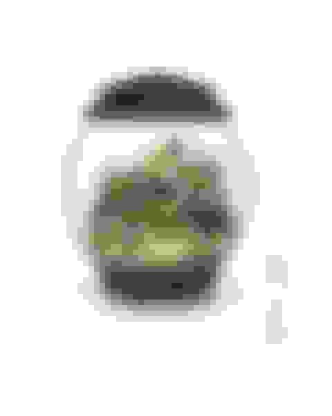 v2-prize-fully-automated-terrarium Main Image