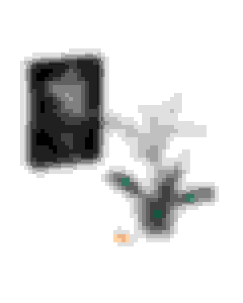 v2-prize-orchid-artificial-plant-model Main Image