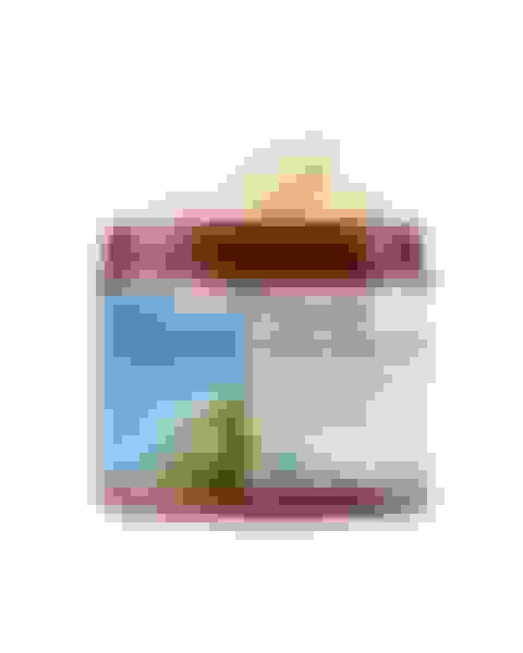 v2-prize-organic-shea-butter-for-body--face Main Image