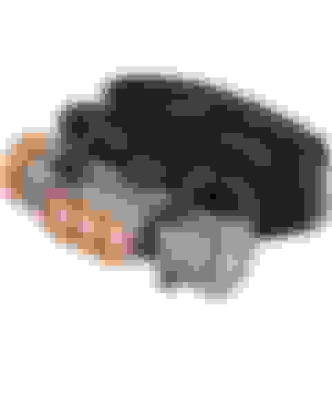 v2-prize-transcend-1500-usb-rechargeable-headlamp Main Image