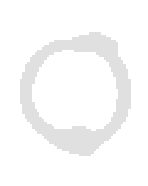 v2-prize-cms-idrue-multi-strand-bracelet-silver-image