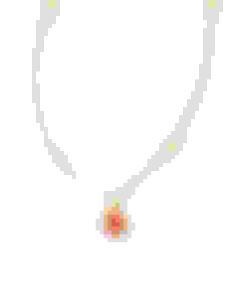 v2-prize-cms-idshort-pendent-necklace-goldred-illusion-image