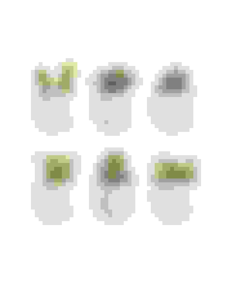 v2-prize-set-of-6-artificial-succulents-plants-image