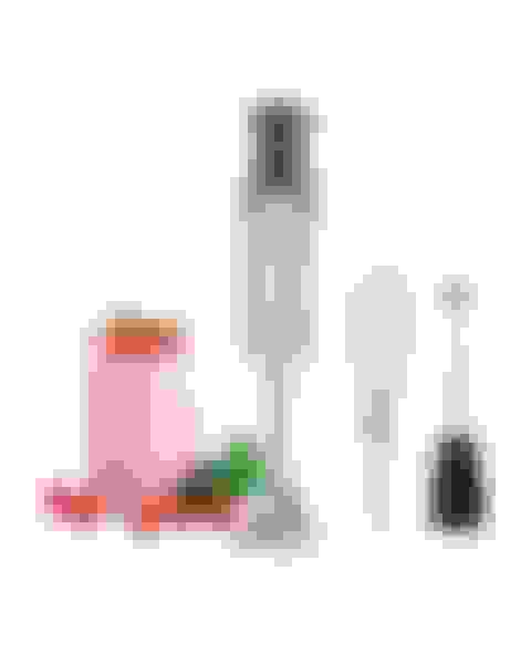 v2-prize-immersion-blender-image