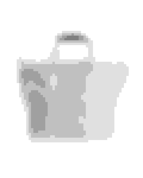 v2-prize-the-cooler-tote-bag-image