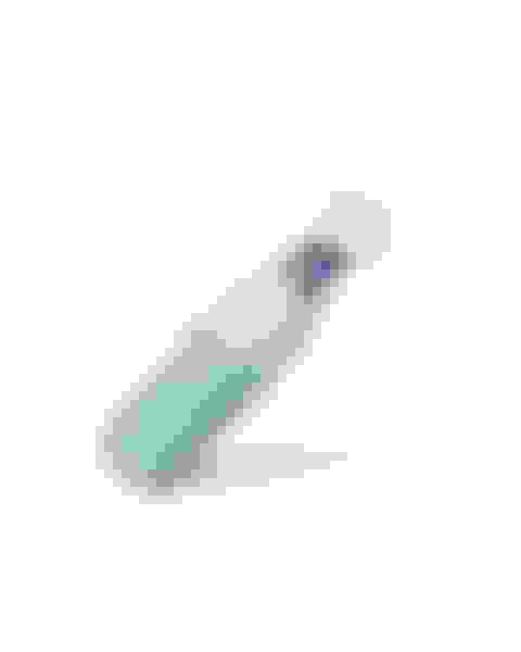 v2-prize-selfcleaning-and-insulated-stainless-steel-water-bottle-image