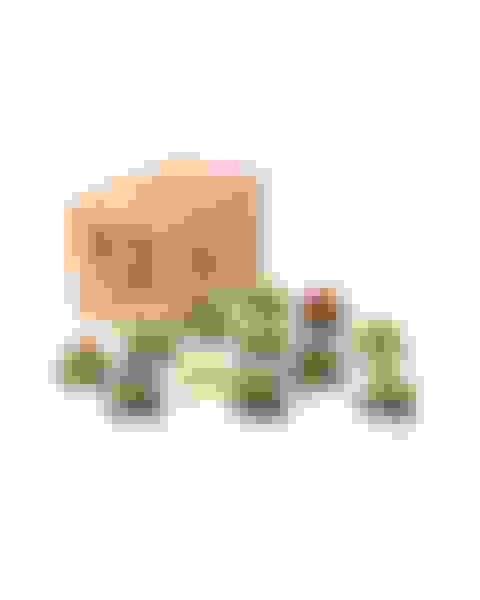 v2-prize-cactus-tealight-candle-image